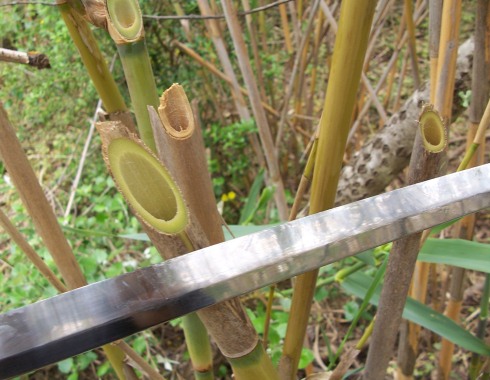 Ronin Dojo Pro vs Bamboo