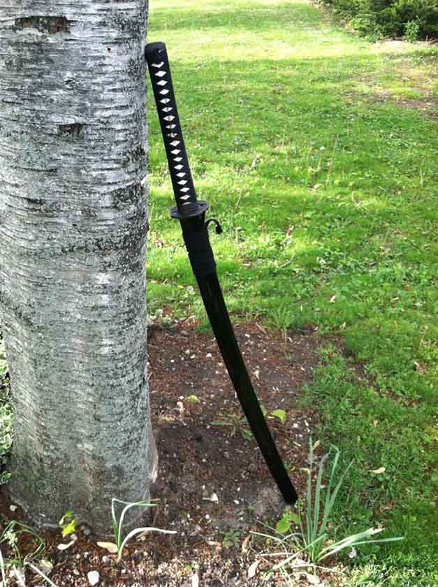 Cold Steel Warrior Series Katana Sword